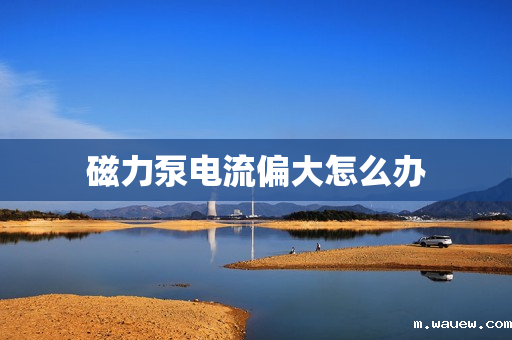 磁力泵电流偏大怎么办 磁力泵电流偏大怎么办