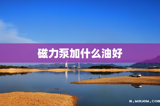 磁力泵加什么油好 磁力泵加什么油好
