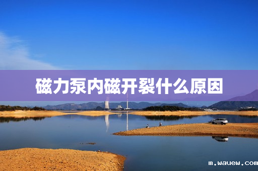 磁力泵内磁开裂什么原因 磁力泵内磁开裂什么原因