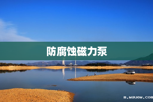 防腐蚀磁力泵 防腐蚀磁力泵