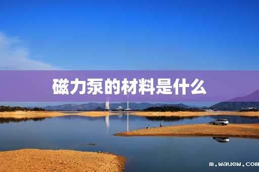 磁力泵的材料是什么 磁力泵的材料是什么