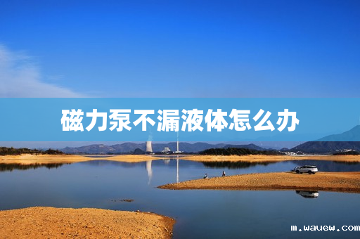 磁力泵不漏液体怎么办 磁力泵不漏液体怎么办