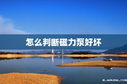 怎么判断磁力泵好坏 怎么判断磁力泵好坏