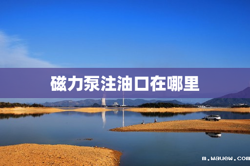 磁力泵注油口在哪里 磁力泵注油口在哪里