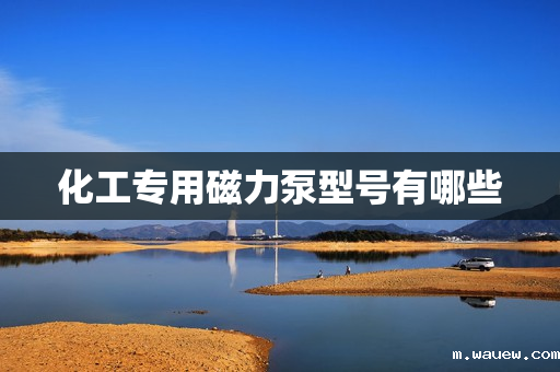 化工专用磁力泵型号有哪些 化工专用磁力泵型号有哪些