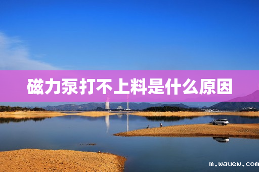 磁力泵打不上料是什么原因 磁力泵打不上料是什么原因