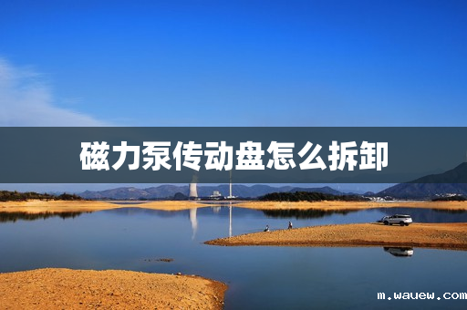 磁力泵传动盘怎么拆卸 磁力泵传动盘怎么拆卸