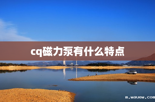cq磁力泵有什么特点 cq磁力泵有什么特点