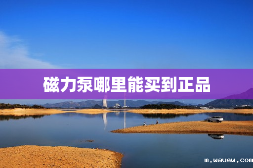 磁力泵哪里能买到正品 磁力泵哪里能买到正品