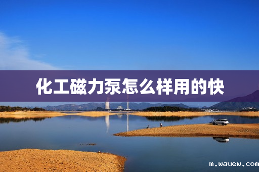 化工磁力泵怎么样用的快 化工磁力泵怎么样用的快