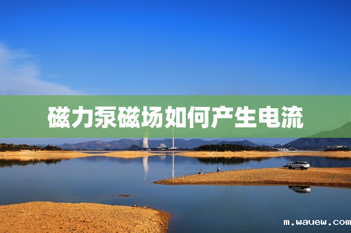 磁力泵磁场如何产生电流 磁力泵磁场如何产生电流