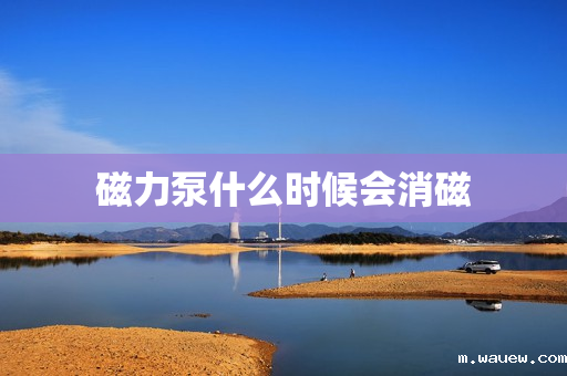 磁力泵什么时候会消磁 磁力泵什么时候会消磁