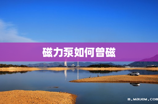 磁力泵如何曾磁 磁力泵如何曾磁