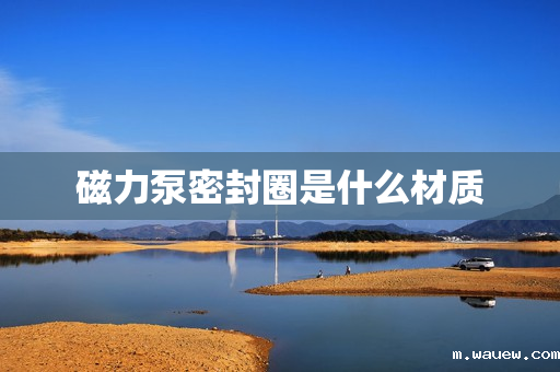 磁力泵密封圈是什么材质 磁力泵密封圈是什么材质