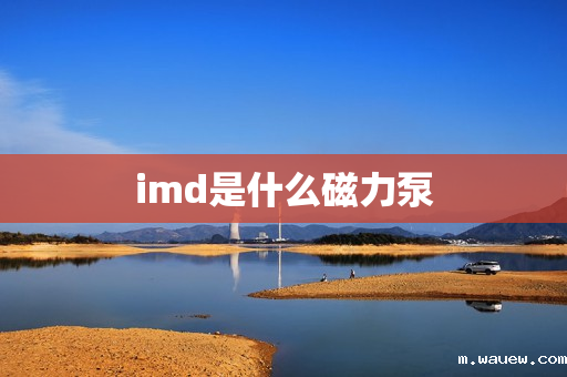 imd是什么磁力泵 imd是什么磁力泵