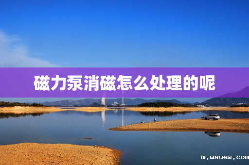 磁力泵消磁怎么处理的呢 磁力泵消磁怎么处理的呢