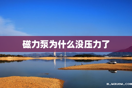 磁力泵为什么没压力了 磁力泵为什么没压力了