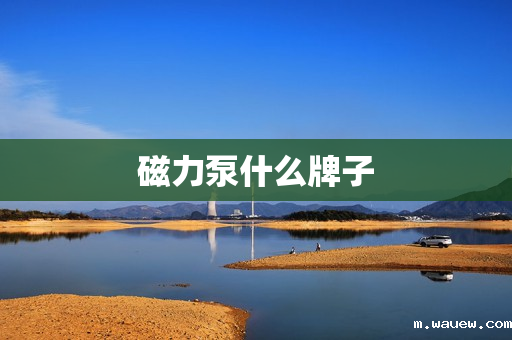 磁力泵什么牌子 磁力泵什么牌子