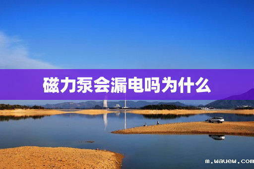 磁力泵会漏电吗为什么 磁力泵会漏电吗为什么