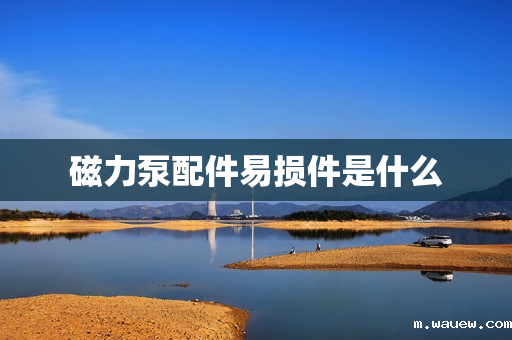 磁力泵配件易损件是什么 磁力泵配件易损件是什么