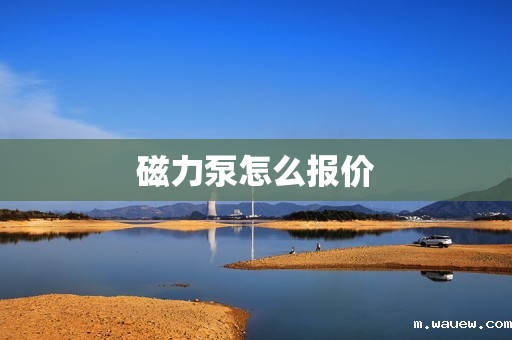 磁力泵怎么报价 磁力泵怎么报价