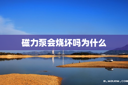 磁力泵会烧坏吗为什么 磁力泵会烧坏吗为什么