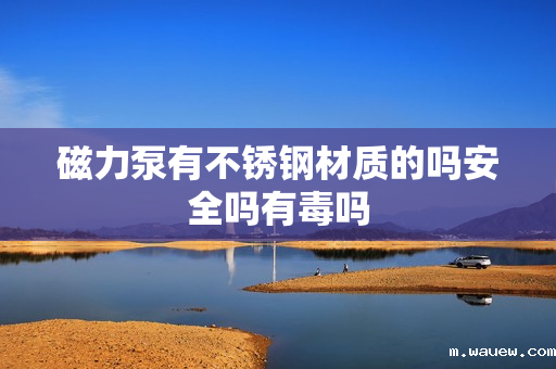 磁力泵有不锈钢材质的吗安全吗有毒吗 磁力泵有不锈钢材质的吗安全吗有毒吗