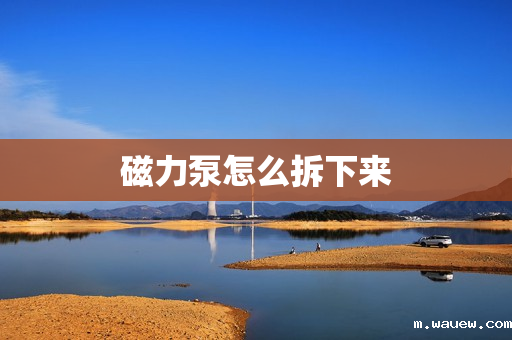 磁力泵怎么拆下来 磁力泵怎么拆下来