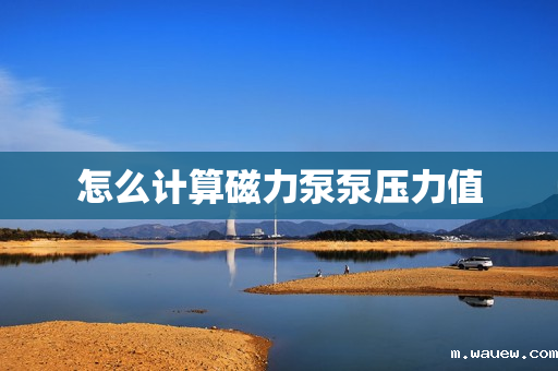 怎么计算磁力泵泵压力值 怎么计算磁力泵泵压力值