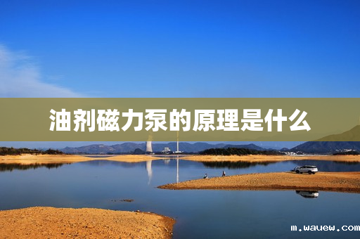 油剂磁力泵的原理是什么 油剂磁力泵的原理是什么