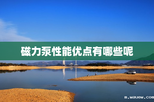 磁力泵性能优点有哪些呢 磁力泵性能优点有哪些呢