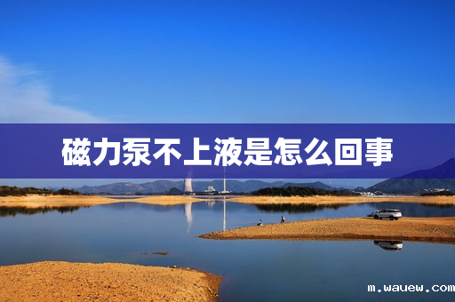 磁力泵不上液是怎么回事 磁力泵不上液是怎么回事