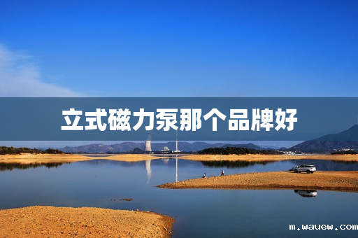 立式磁力泵那个品牌好 立式磁力泵那个品牌好