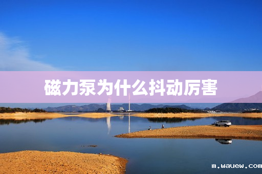 磁力泵为什么抖动厉害 磁力泵为什么抖动厉害