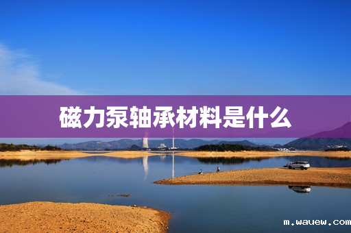 磁力泵轴承材料是什么 磁力泵轴承材料是什么