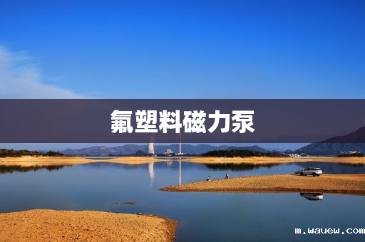 氟塑料磁力泵 氟塑料磁力泵