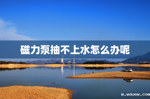 磁力泵抽不上水怎么办呢 磁力泵抽不上水怎么办呢