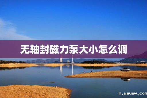 无轴封磁力泵大小怎么调 无轴封磁力泵大小怎么调