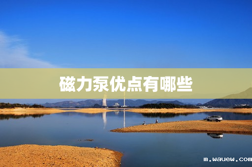 磁力泵优点有哪些 磁力泵优点有哪些