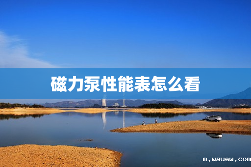 磁力泵性能表怎么看 磁力泵性能表怎么看