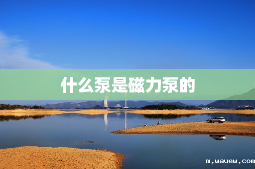 什么泵是磁力泵的 什么泵是磁力泵的