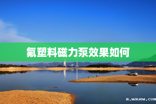 氟塑料磁力泵效果如何 氟塑料磁力泵效果如何