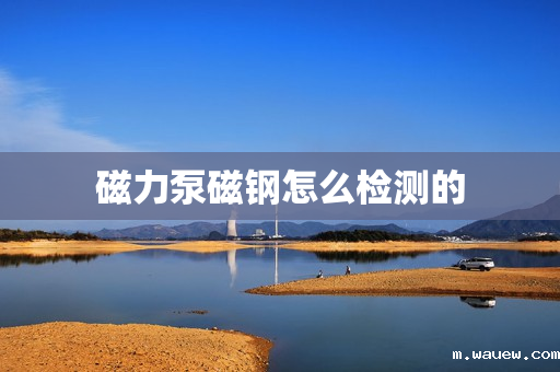 磁力泵磁钢怎么检测的 磁力泵磁钢怎么检测的