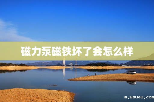 磁力泵磁铁坏了会怎么样 磁力泵磁铁坏了会怎么样