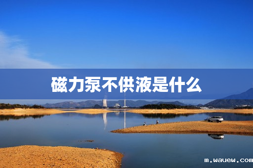 磁力泵不供液是什么 磁力泵不供液是什么