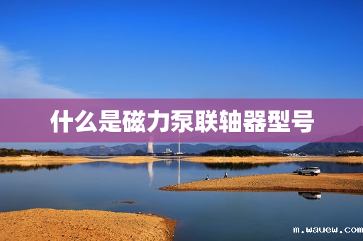 什么是磁力泵联轴器型号 什么是磁力泵联轴器型号