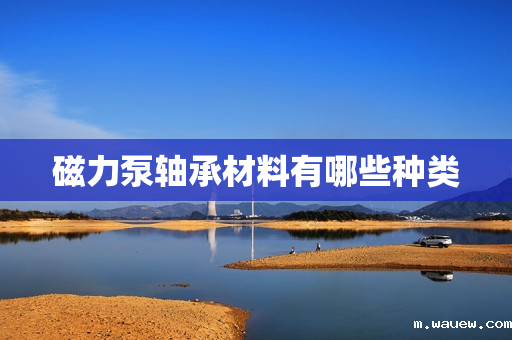 磁力泵轴承材料有哪些种类 磁力泵轴承材料有哪些种类