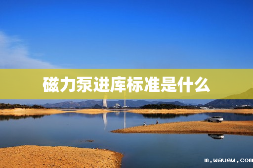 磁力泵进库标准是什么 磁力泵进库标准是什么