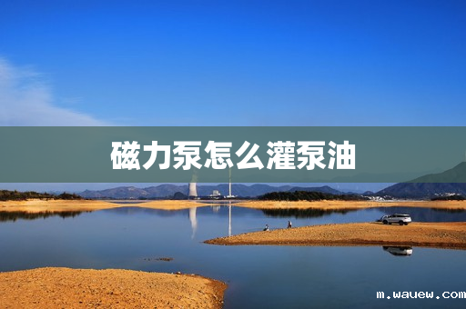 磁力泵怎么灌泵油 磁力泵怎么灌泵油