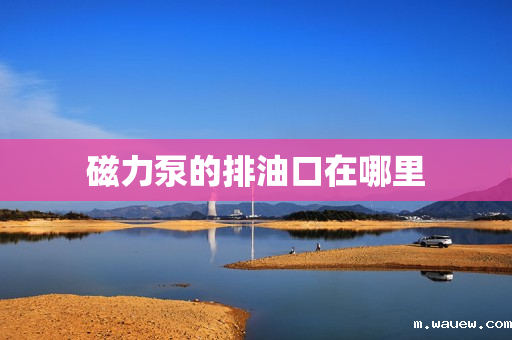 磁力泵的排油口在哪里 磁力泵的排油口在哪里